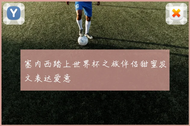 塞内西踏上世界杯之旅伴侣甜蜜发文表达爱意