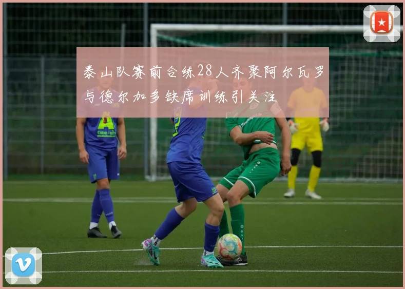 泰山队赛前合练28人齐聚阿尔瓦罗与德尔加多缺席训练引关注